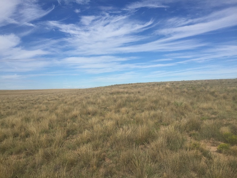 View to the west from the confluence.