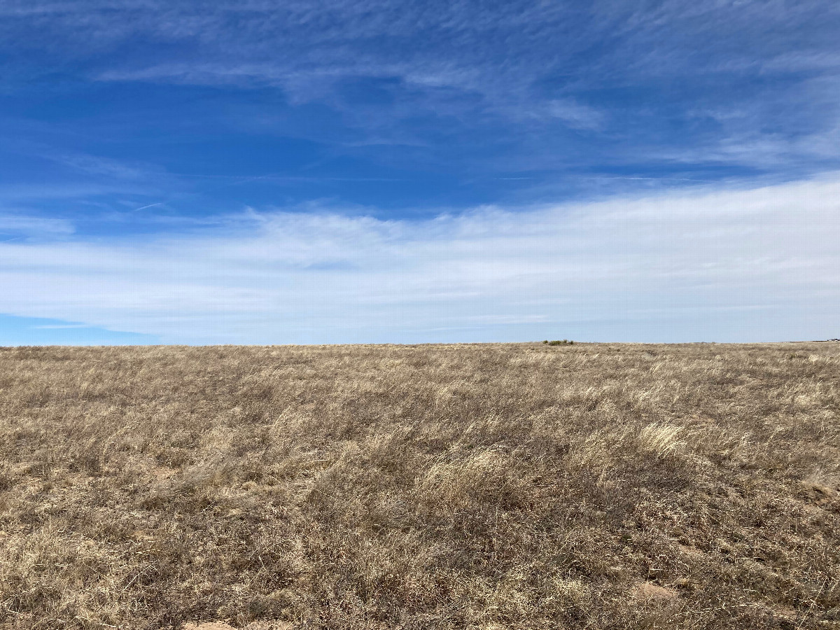 Looking north from the confluence, up a subtle ridge
