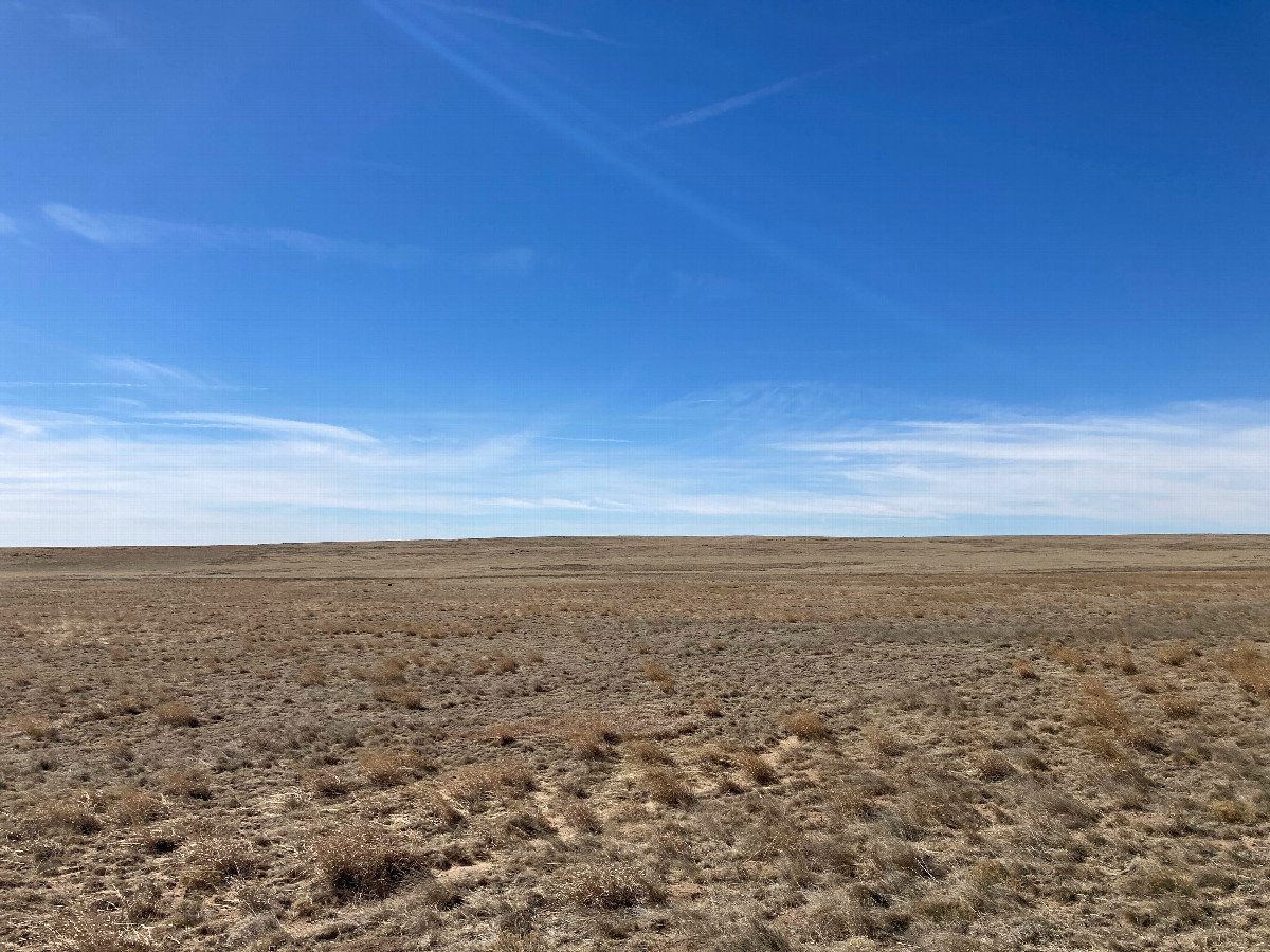 Looking south, beautiful desolation