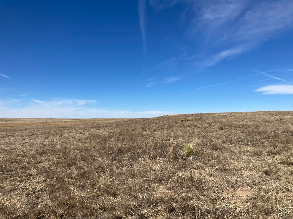 Looking west, the way we came from