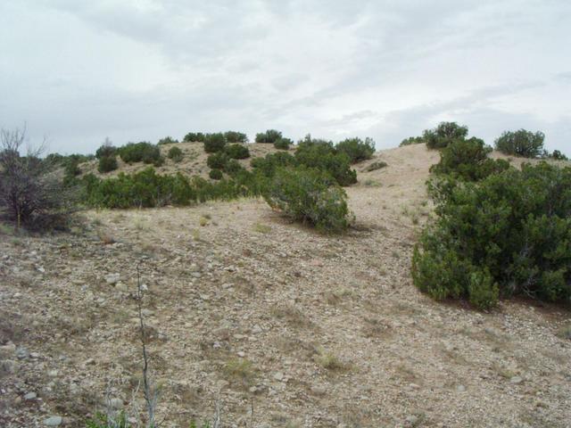 Looking north from N36 W106