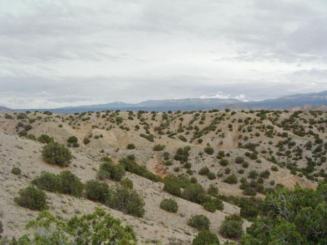 Looking east from N36 W106