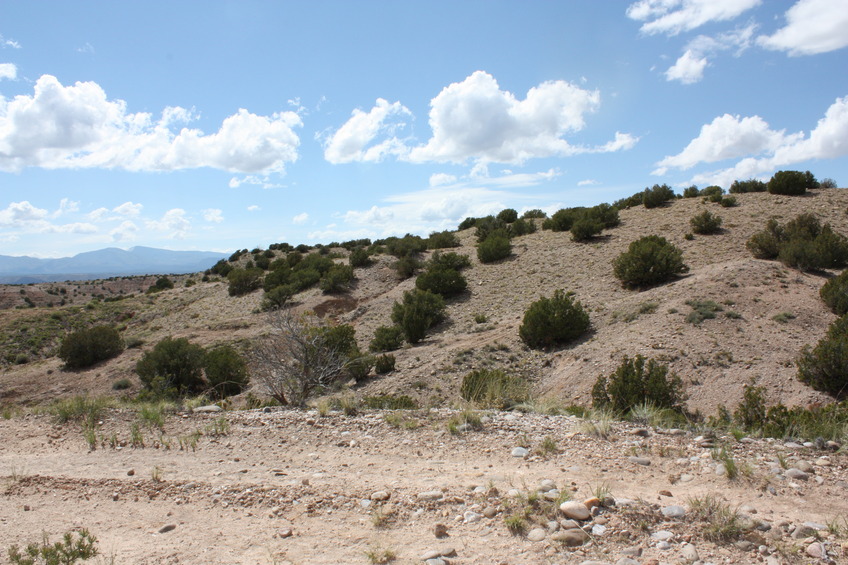 West view