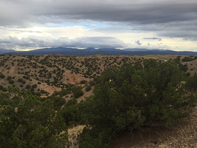 View to the south from the confluence. 