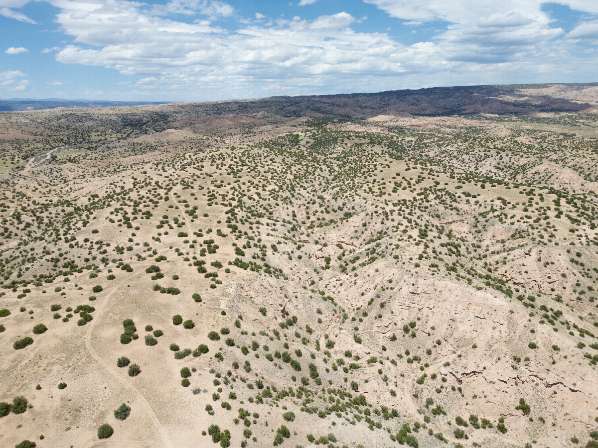 View North, from 120m above the point