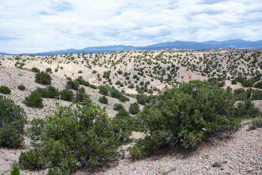 #1: The confluence point lies in ‘badlands’ just North of La Puebla.  (This is also a view to the East.)