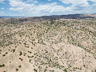 #8: View North, from 120m above the point