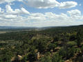 #6: View South along Rio Puerco