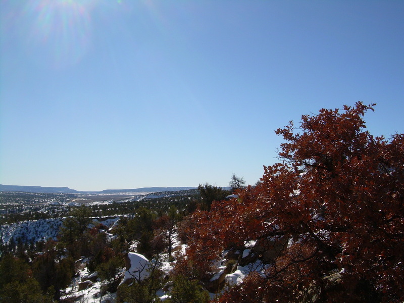 CP Looking South