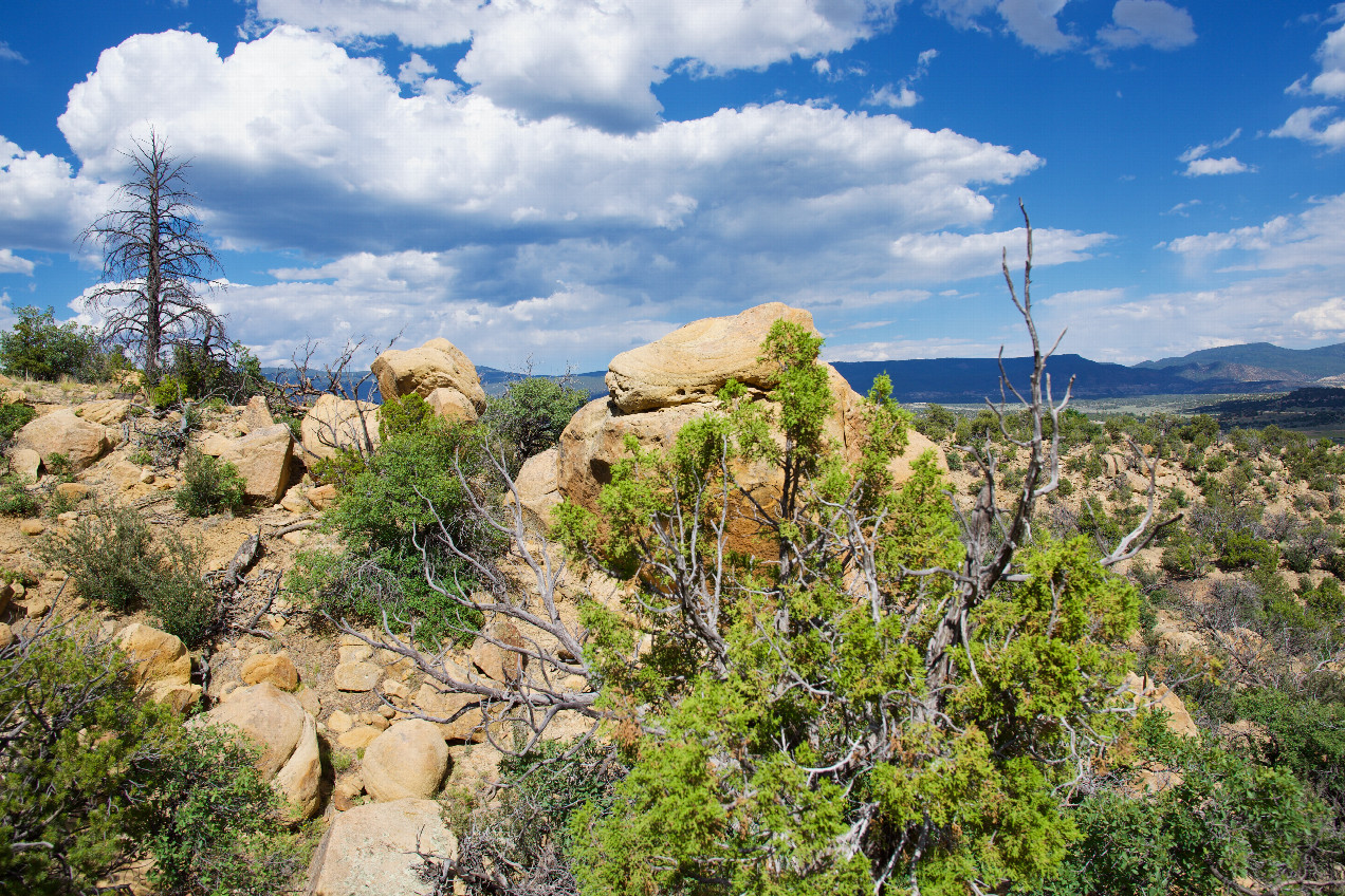 The confluence point lies on a steep, rocky hillside.  (This is also a view to the East.)