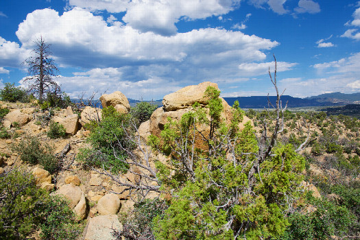 #1: The confluence point lies on a steep, rocky hillside.  (This is also a view to the East.)