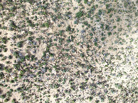 #7: Looking down on the point from a height of 120m