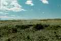 #2: Looking west, this prairie was the home of thriving cattle and jackrabbits.