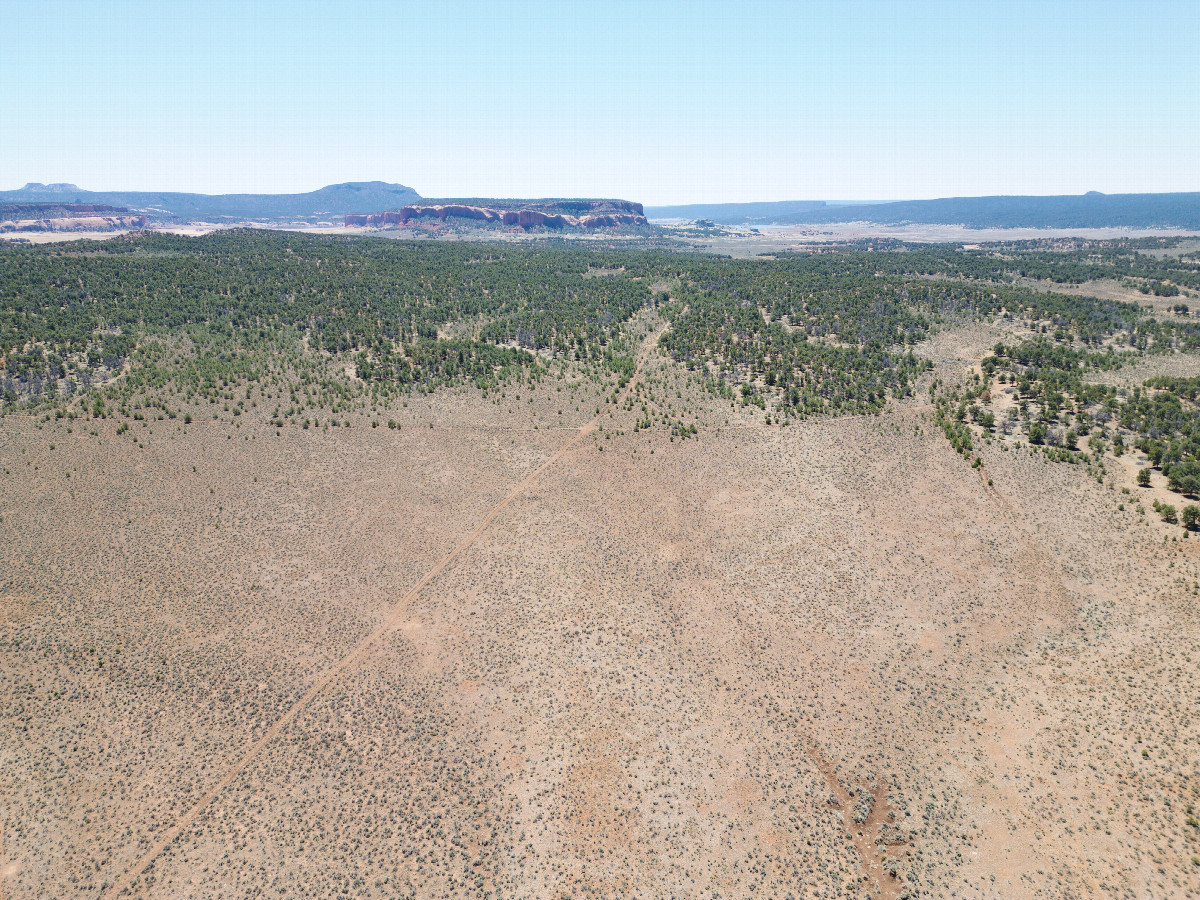 View South, from 120m above the point