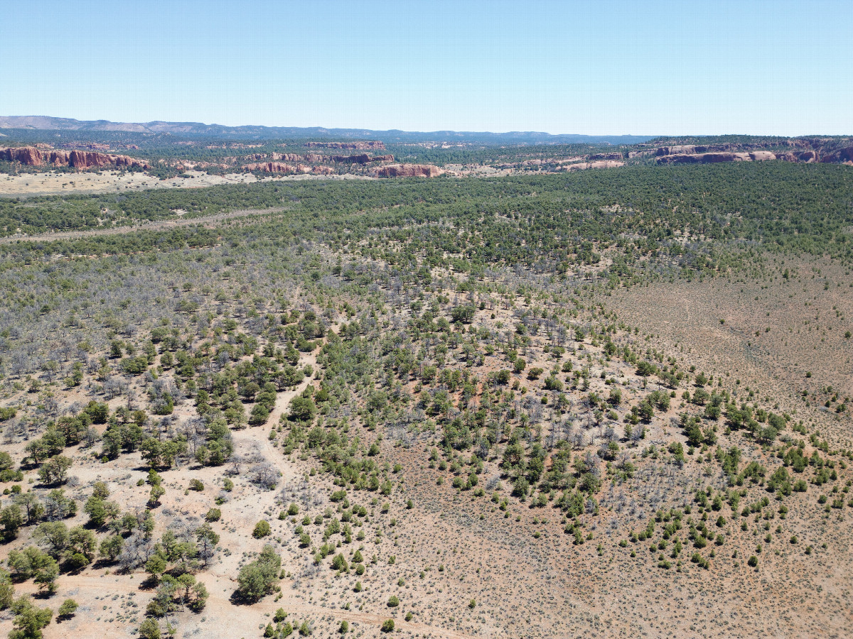 View East, from 120m above the point