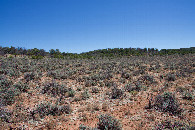 #2: View East