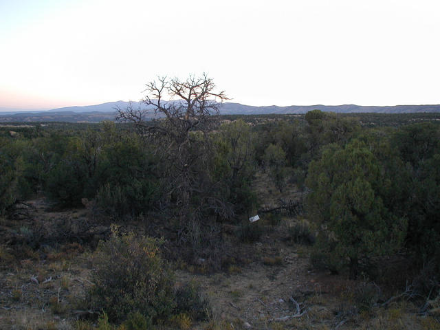 View North past confluence (white placard) to San Juan Mtns, Colorado