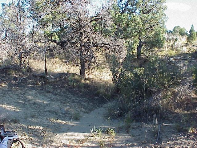 View to the south from the confluence, toward the New Mexico border.