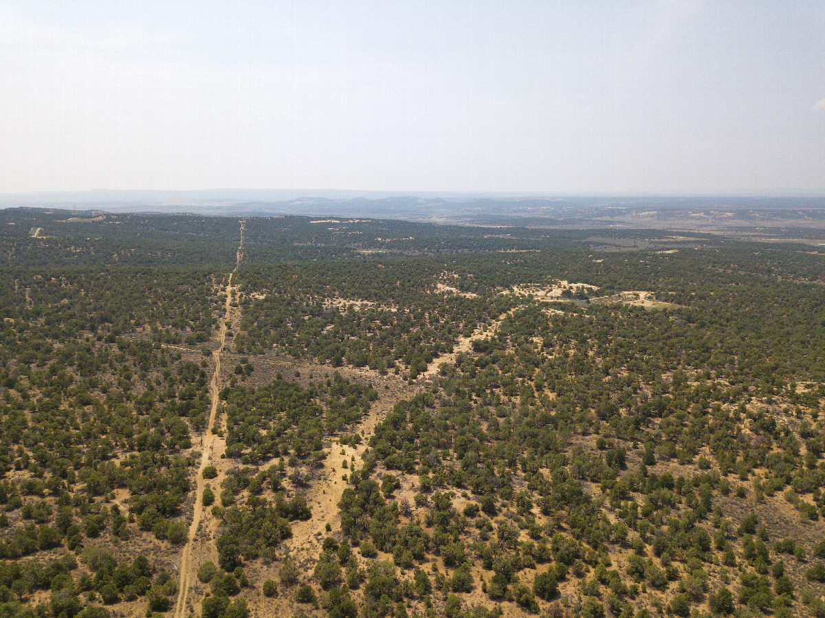 View West (along the New Mexico-Colorado state line), from 120m above the point