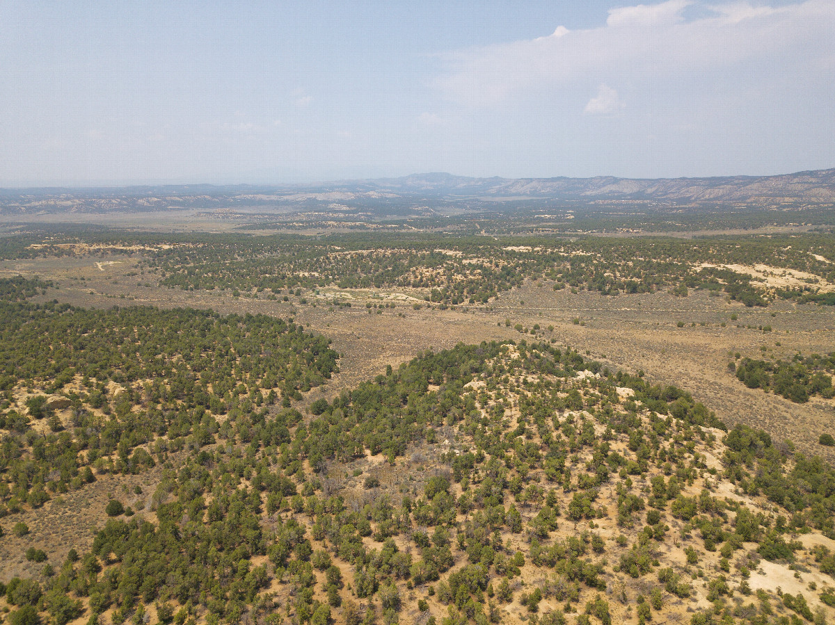View North, from 120m above the point