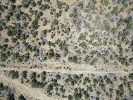 #7: Looking down on the point from a height of 120m.  (The doubletrack road marks the boundary between Colorado (top) and New Mexico (bottom).)