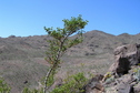 #3: View to the west from the confluence.