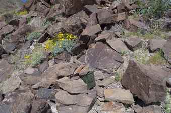 #1: The confluence point, on a rocky hillside, is now marked by a 'geocache' box