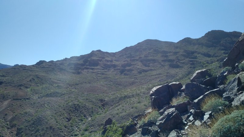 View West