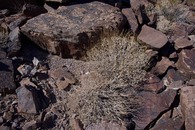 #2: The confluence point lies on the side of a steep rocky hillside