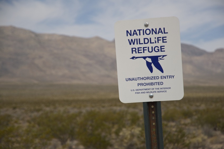  "National Wildlife Refuge" sign, about 100 meters from the confluence point.  (I think the confluence point lies just outside this refuge.) 