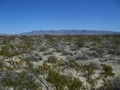 #3: East towards Hwy 93 and Meadow Valley Mountains