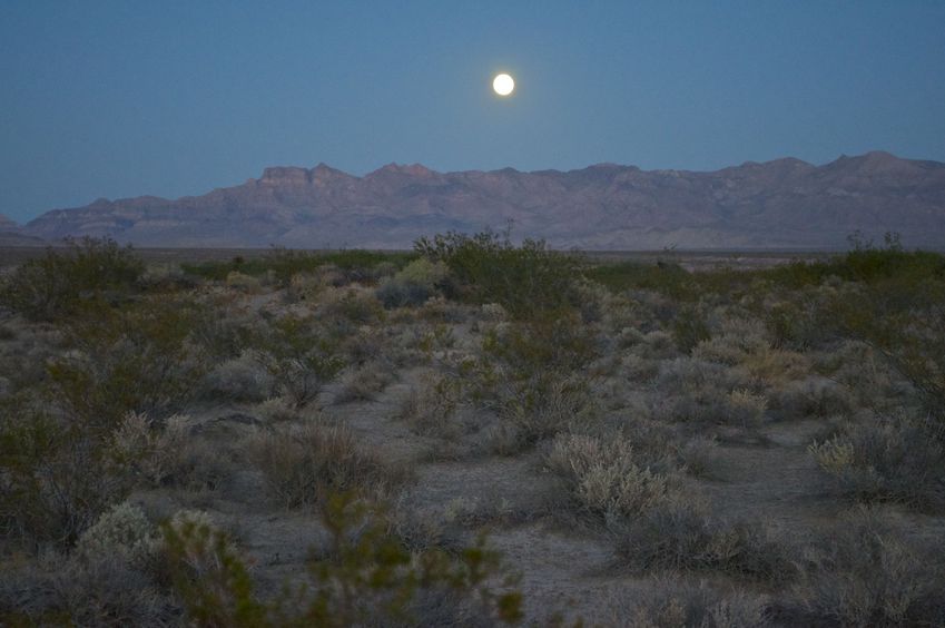 View East (towards a rising full moon)