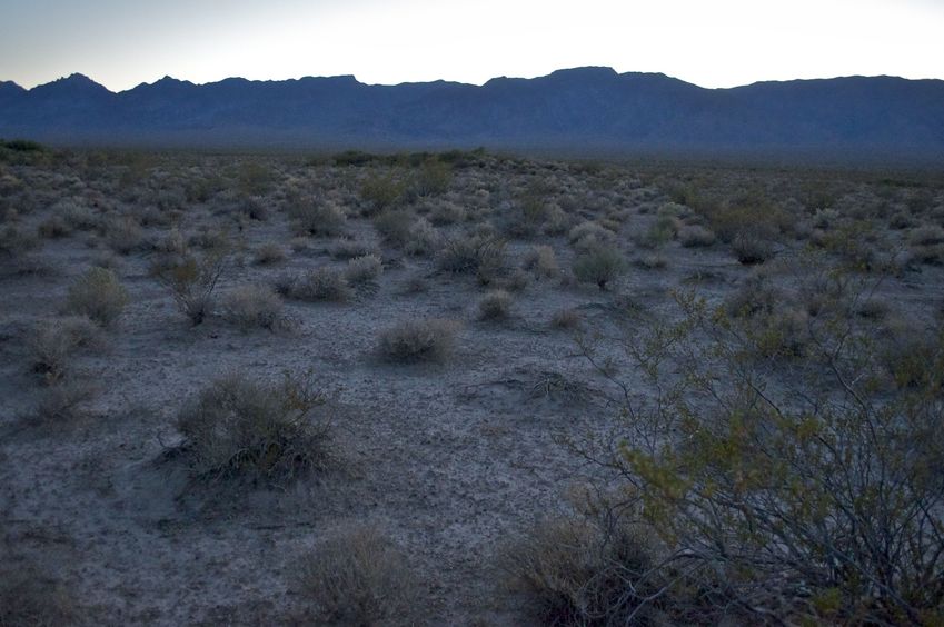 View West.  (The sun had just set behind those hills.)