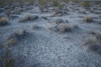 #1: The confluence point sits in sandy soil, among sagebrush