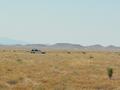 #7: Walking back to my Car, I saw two Antelope, but no Giant Ants!