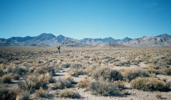 View west toward Grapevine Mts & Death Valley NP.