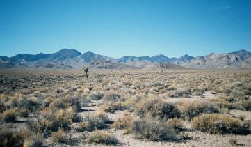 #1: View west toward Grapevine Mts & Death Valley NP.
