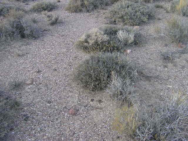 A view of the confluence point