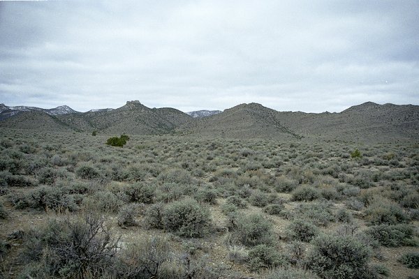 View west