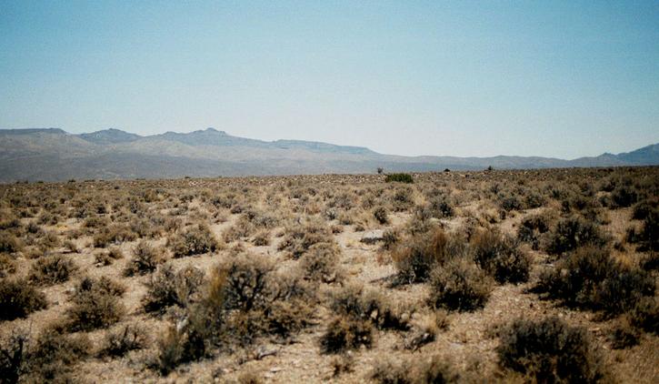 Looking east back towards NV 38.