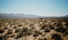 #3: Looking east back towards NV 38.