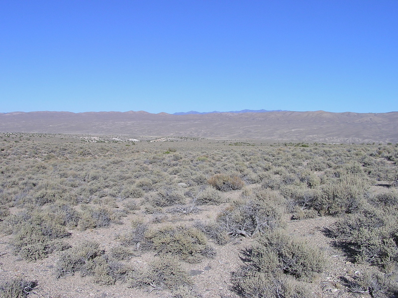 View East (towards the White River Valley, and Nevada Highway 318)