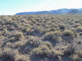 #5: View West (towards the Seaman Range)