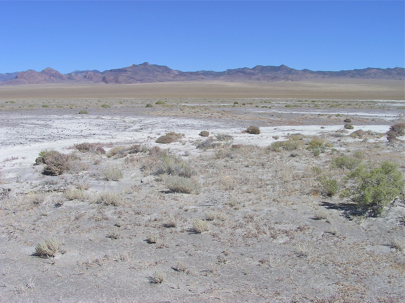 View East (towards the Quinn Canyon Range)