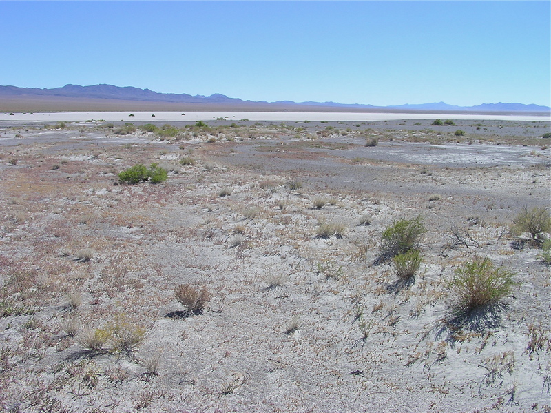 View South (across the dry lake bed)