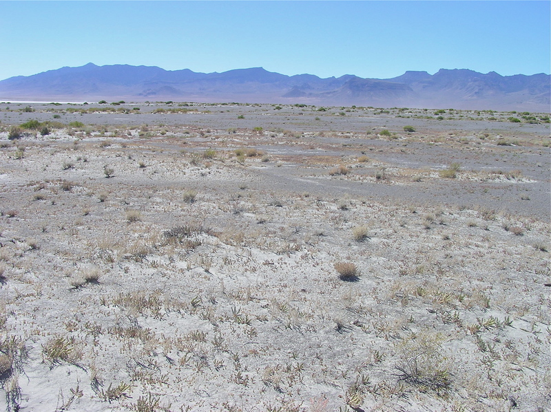 View West (towards the Reveille Range)