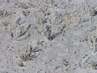 #1: The confluence point lies in very sparsely-vegetated land, near the edge of a dry lake bed