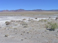 #3: View East (towards the Quinn Canyon Range)