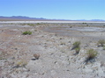 #4: View South (across the dry lake bed)