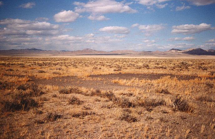 View to the north.